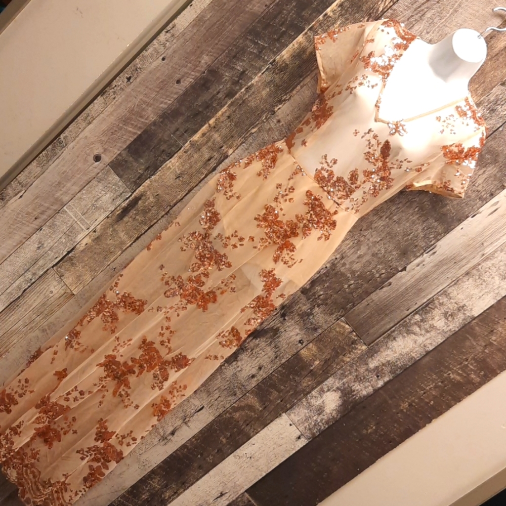 Sheer sequin dress